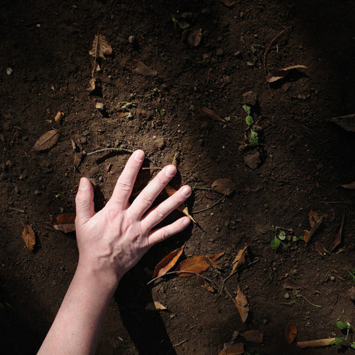 TOKYO KODO solo Exhibition - Terra -  at ten tokyo